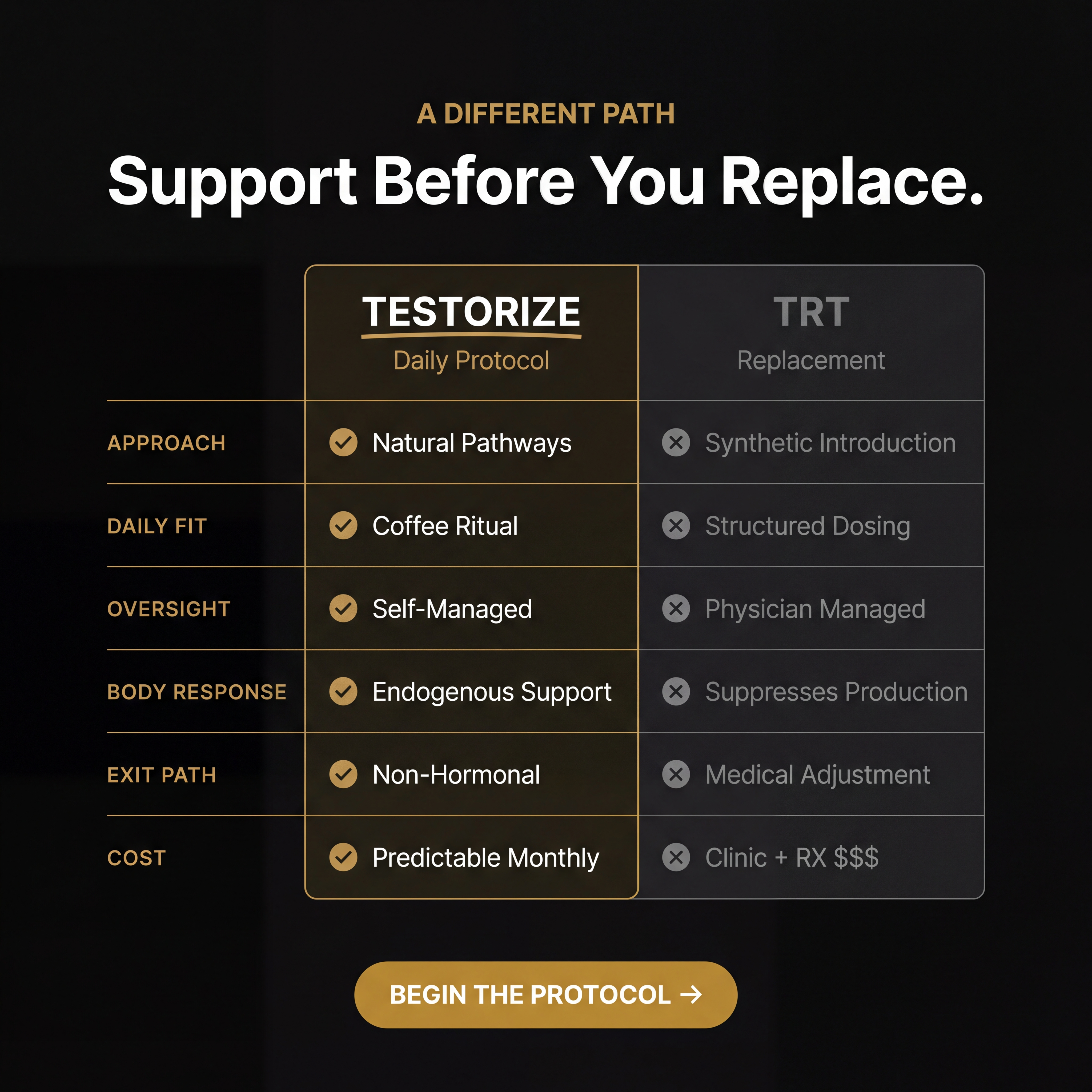 Testorize Premium Coffee for Men